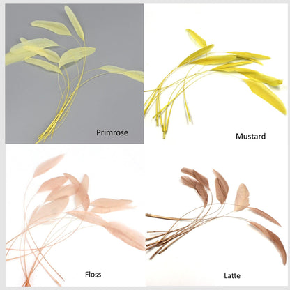 Teardrop Coq Feathers 17 to 25cm x 10pcs - CO017