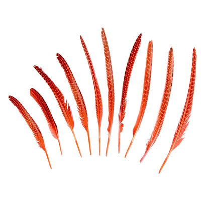Guinea Fowl Pheasant Wing Feather x 10pcs - FE002