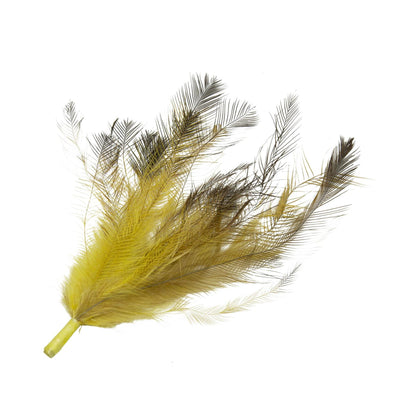 Emu Feather Bunch 14cm x 20pcs - FM084