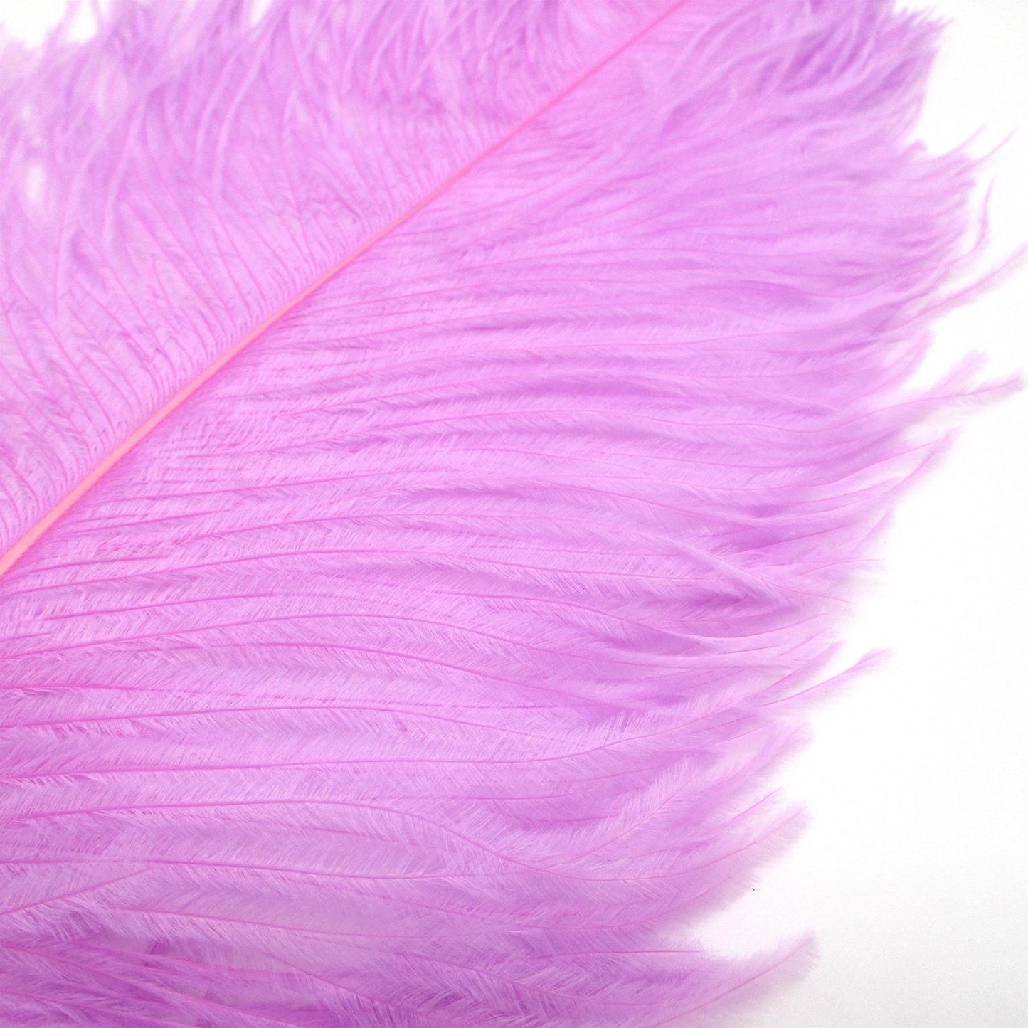 Ostrich Feather Plume 45 to 55cm FE017