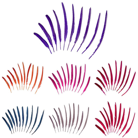 Guinea Fowl Pheasant Wing Feather x 10pcs - FE002