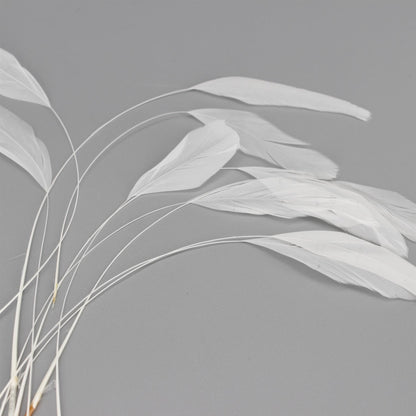 Teardrop Coq Feathers 17 to 25cm x 10pcs - CO017