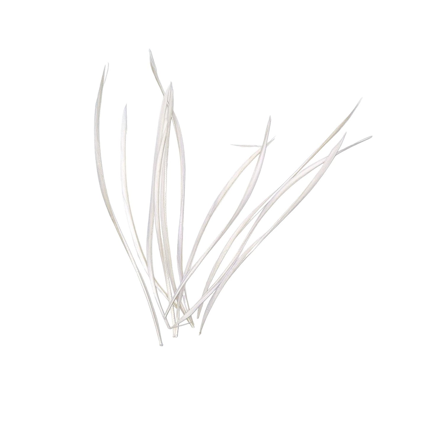 Spiky Goose Biot Feathers 14cm x 10pcs - FR913