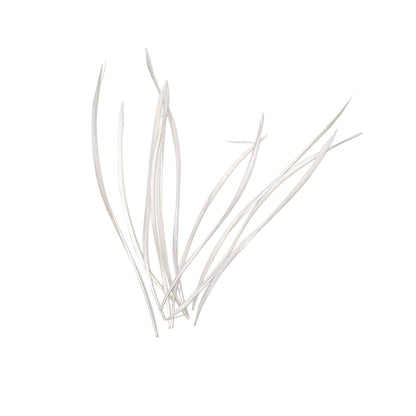 Spiky Goose Biot Feathers 14cm x 10pcs - FR913