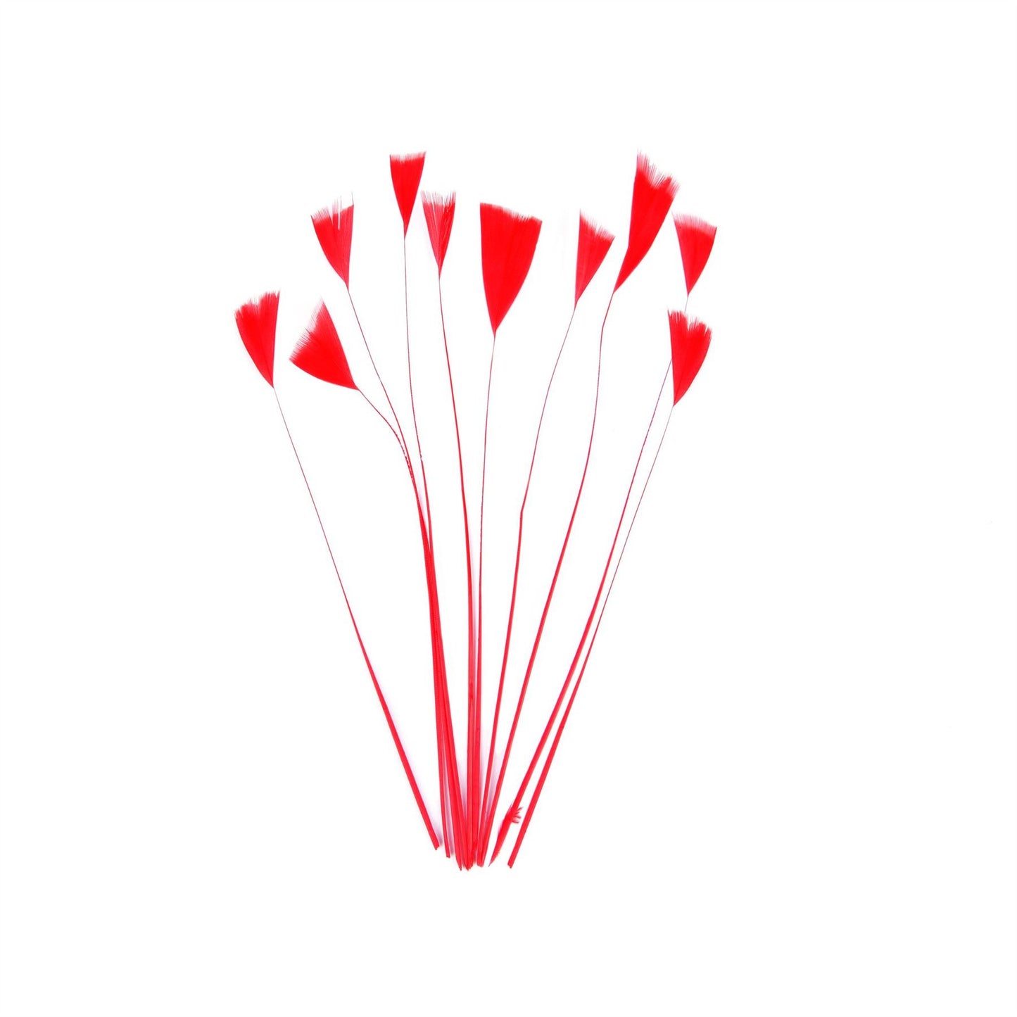 Stripped Turkey Feathers x 10pcs - FE004