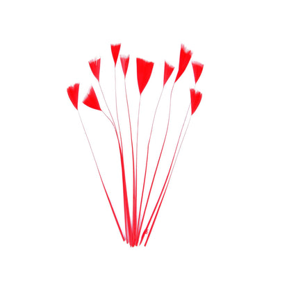 Stripped Turkey Feathers x 10pcs - FE004
