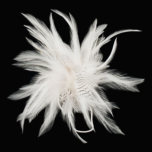 Ivory Pinstripe Hackle Feather Mount FM042