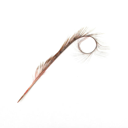 Burnt Pheasant Curled Feather FE011
