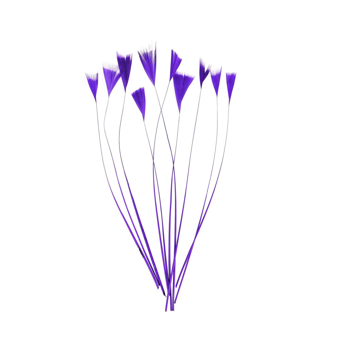 Stripped Turkey Feathers x 10pcs - FE004