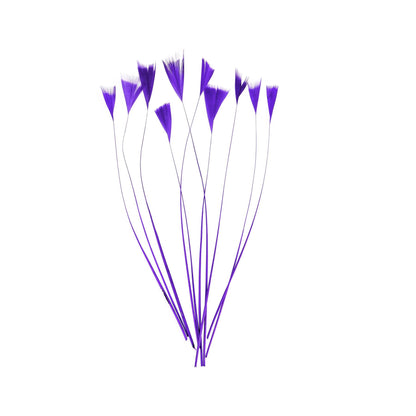 Stripped Turkey Feathers x 10pcs - FE004