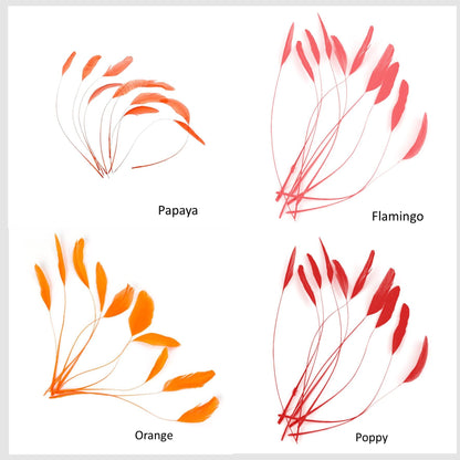 Teardrop Coq Feathers 17 to 25cm x 10pcs - CO017