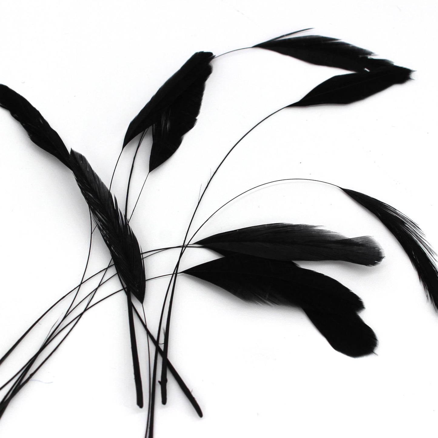 Teardrop Coq Feathers 17 to 25cm x 10pcs - CO017