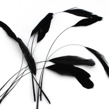Teardrop Coq Feathers 17 to 25cm x 10pcs - CO017