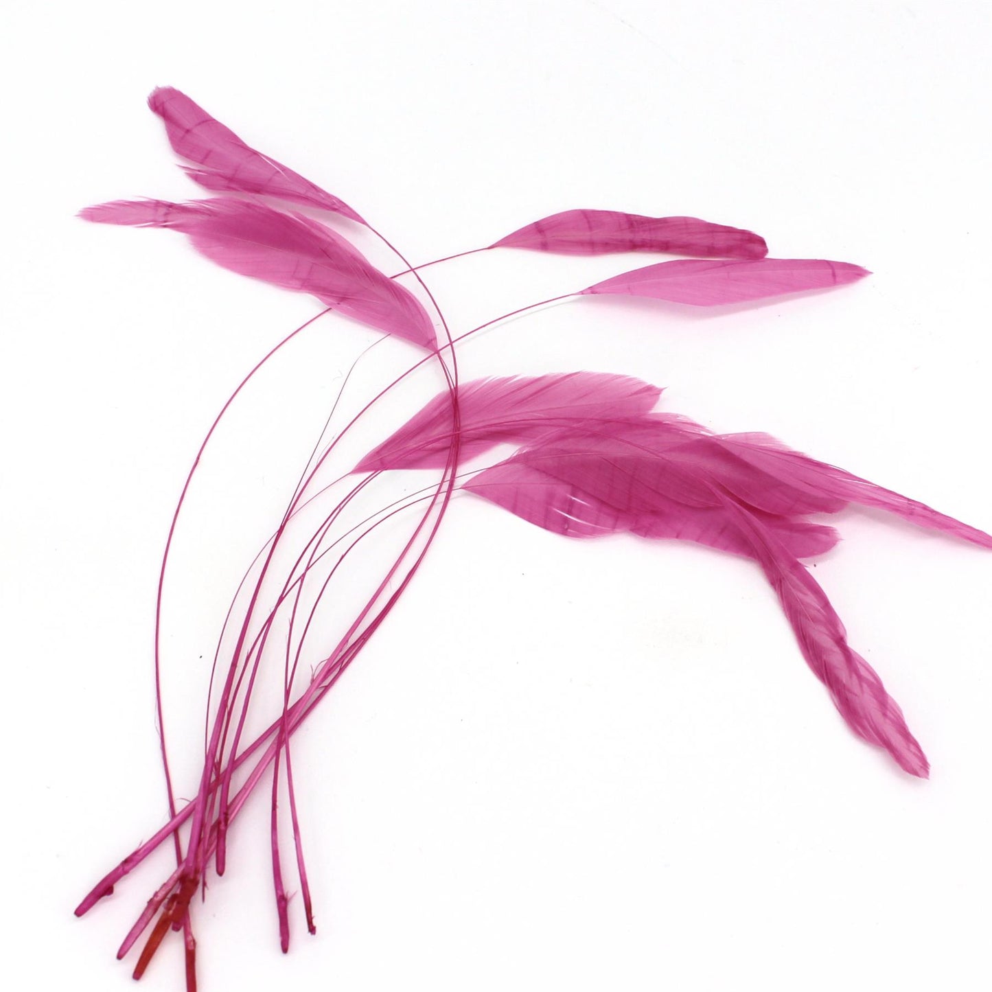Teardrop Coq Feathers 17 to 25cm x 10pcs - CO017