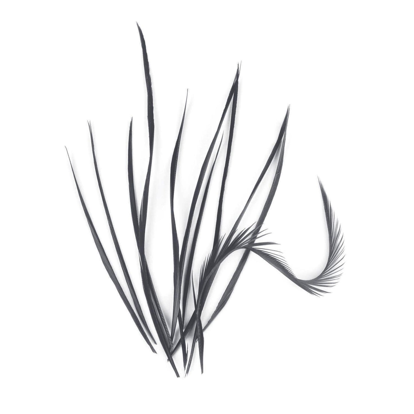 Spiky Goose Biot Feathers 14cm x 10pcs - FR913