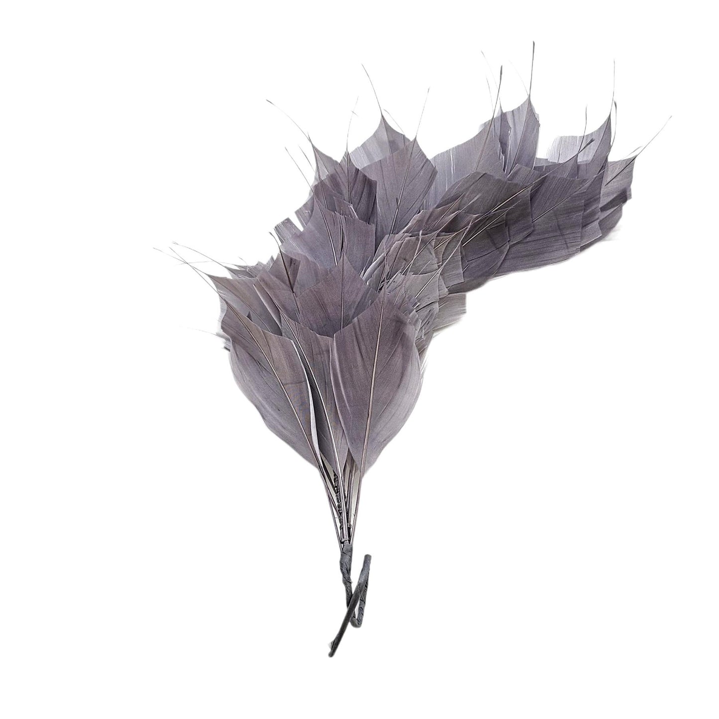 Spiky Goose Mount on Wire 25cm - FM045