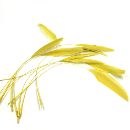 Teardrop Coq Feathers 17 to 25cm x 10pcs - CO017