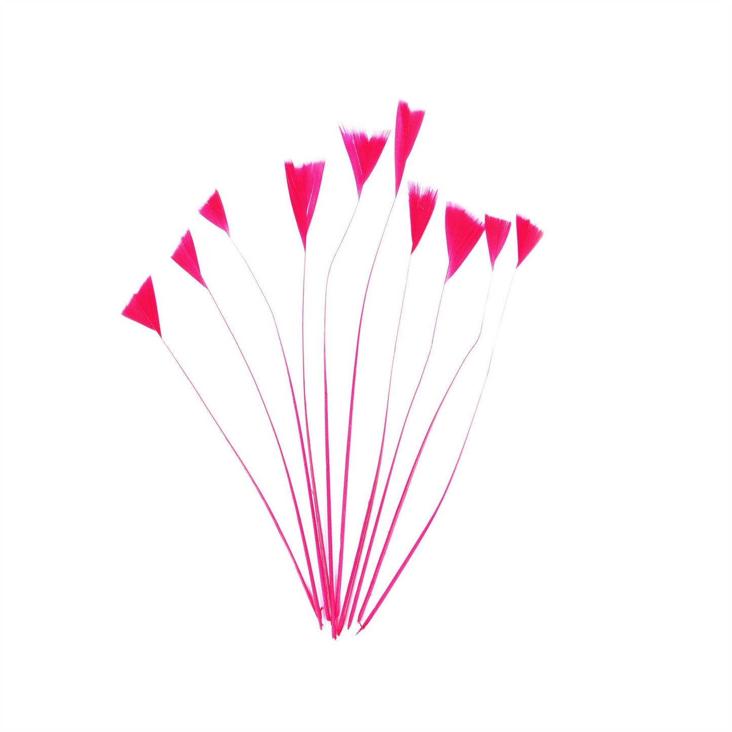 Stripped Turkey Feathers x 10pcs - FE004