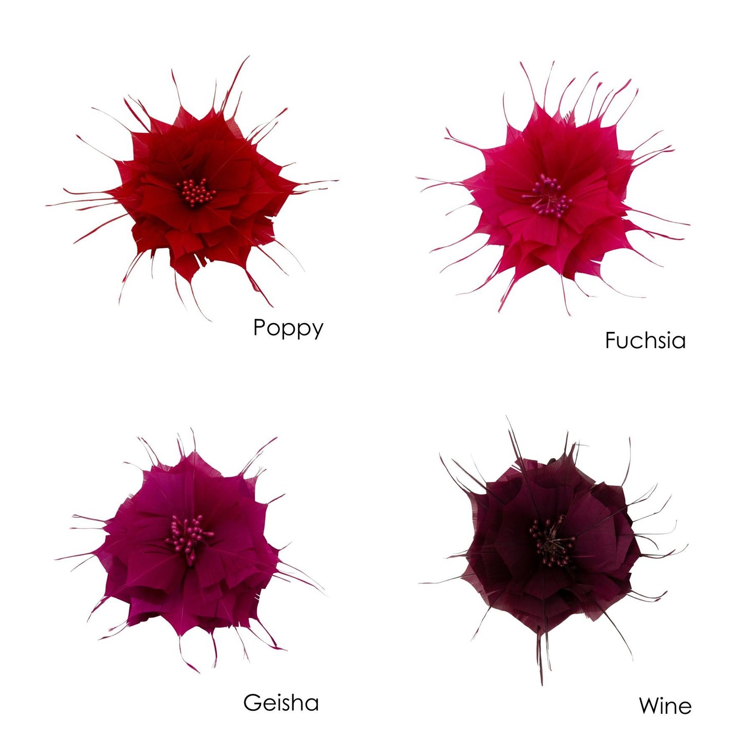 Goose Feather Star Flower 14cm - FM024