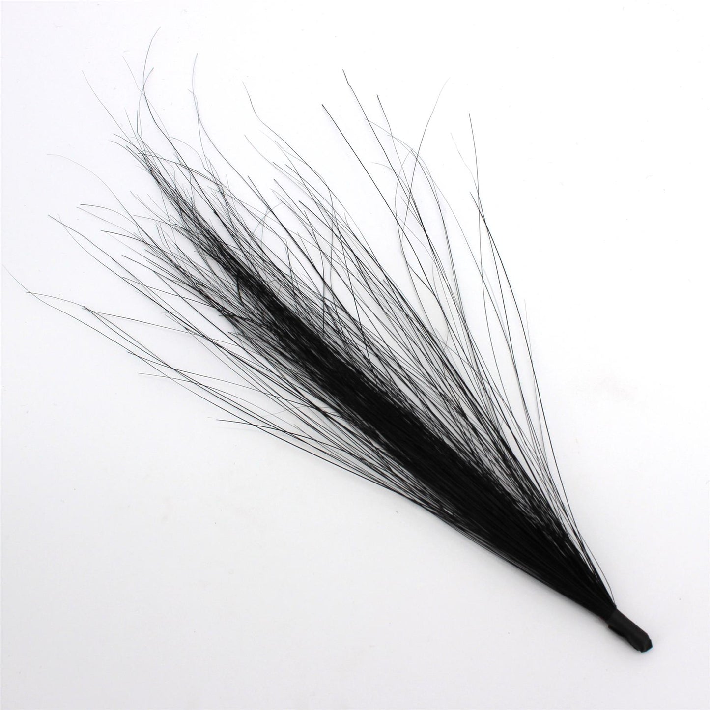 Burnt Peacock Brush Mount 20cm - FM083