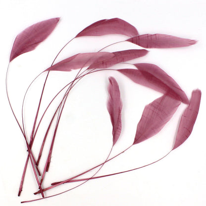 Teardrop Coq Feathers 17 to 25cm x 10pcs - CO017