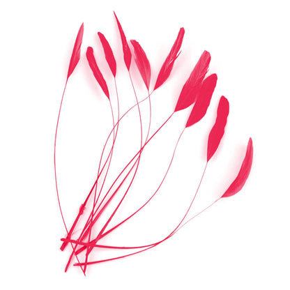 Teardrop Coq Feathers 17 to 25cm x 10pcs - CO017