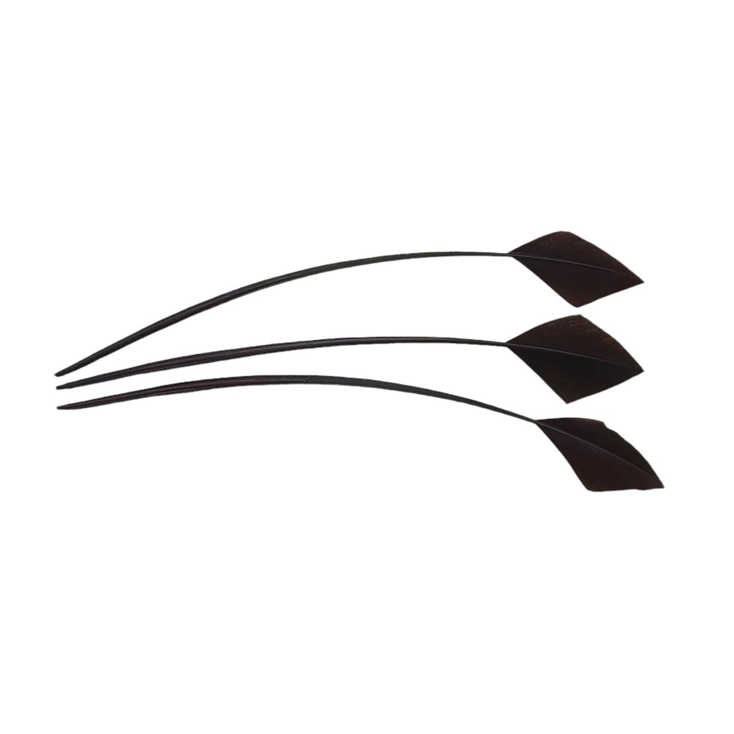 Arrow Head Turkey Feather 30cm x 3pcs - FE014