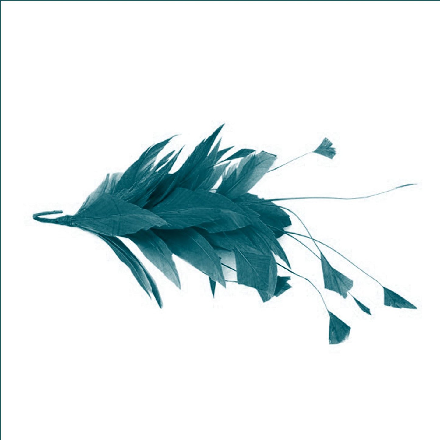 Goose Feather Stripped Coq Mount 22cm - FM082