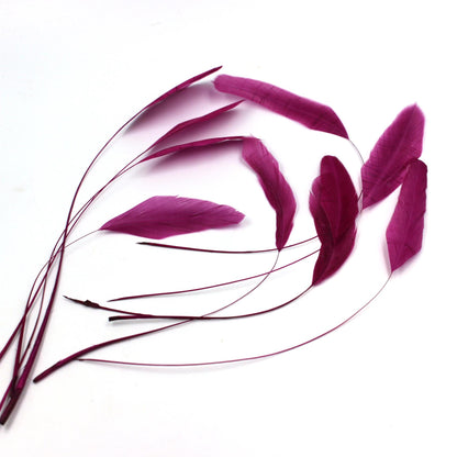Teardrop Coq Feathers 17 to 25cm x 10pcs - CO017