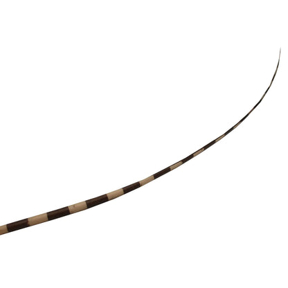 Stripe Ostrich Feather Spines 60cm - FE024
