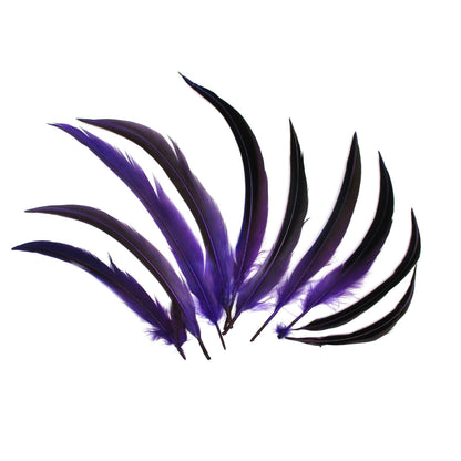 Two Tone Pheasant Feather x 10pcs FE010