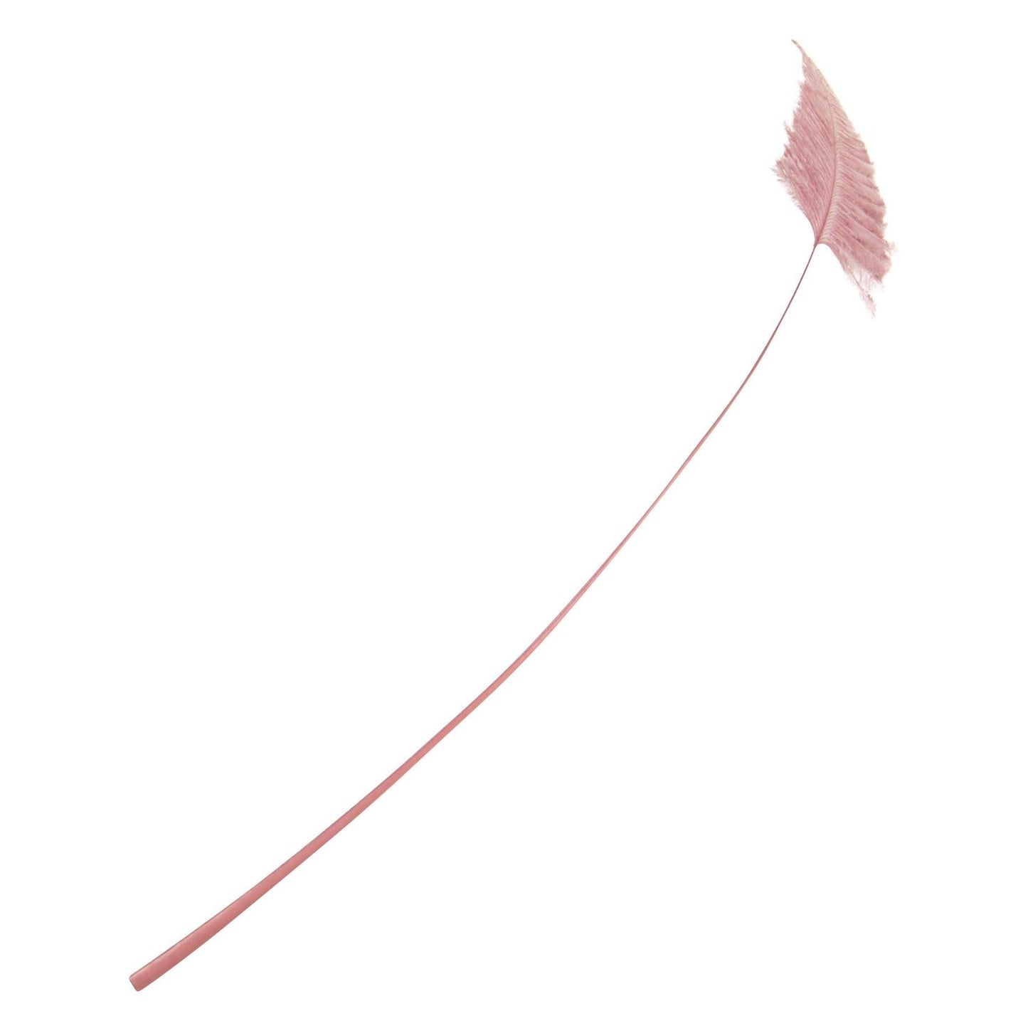 Ostrich Feather Arrow Head 35cm FE015