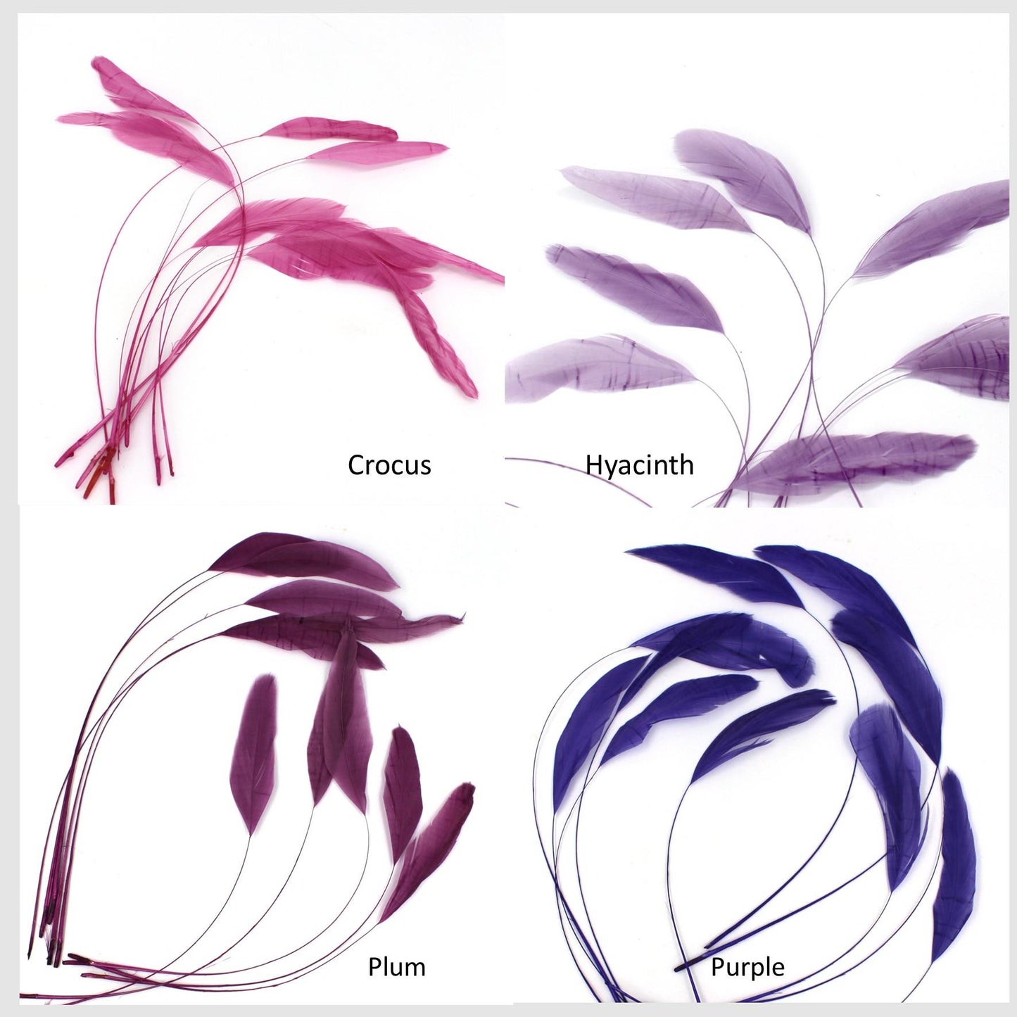 Teardrop Coq Feathers 17 to 25cm x 10pcs - CO017