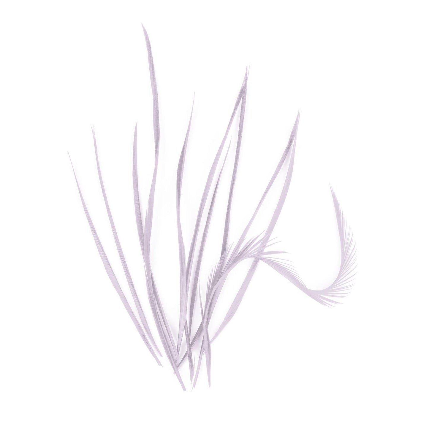 Spiky Goose Biot Feathers 14cm x 10pcs - FR913