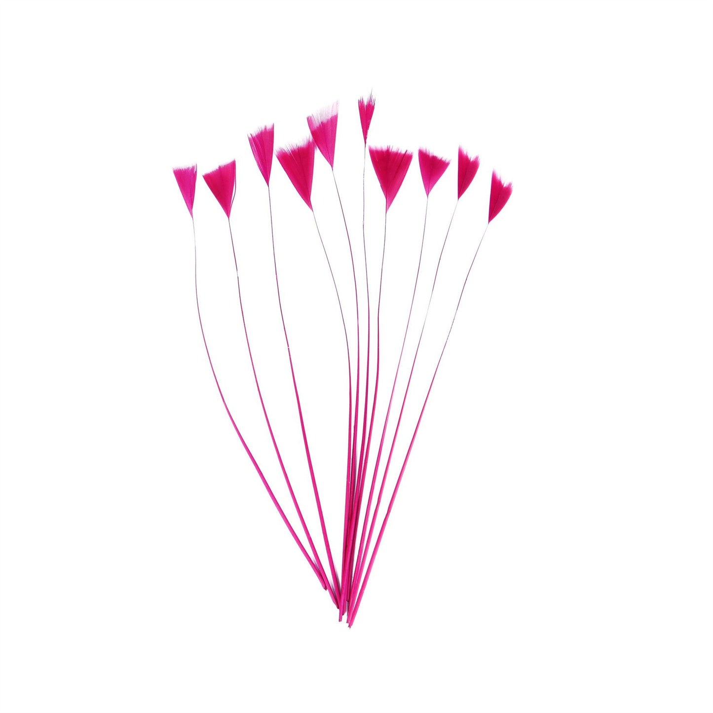 Stripped Turkey Feathers x 10pcs - FE004