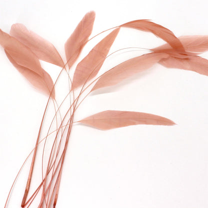Teardrop Coq Feathers 17 to 25cm x 10pcs - CO017