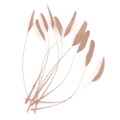 Teardrop Coq Feathers 17 to 25cm x 10pcs - CO017