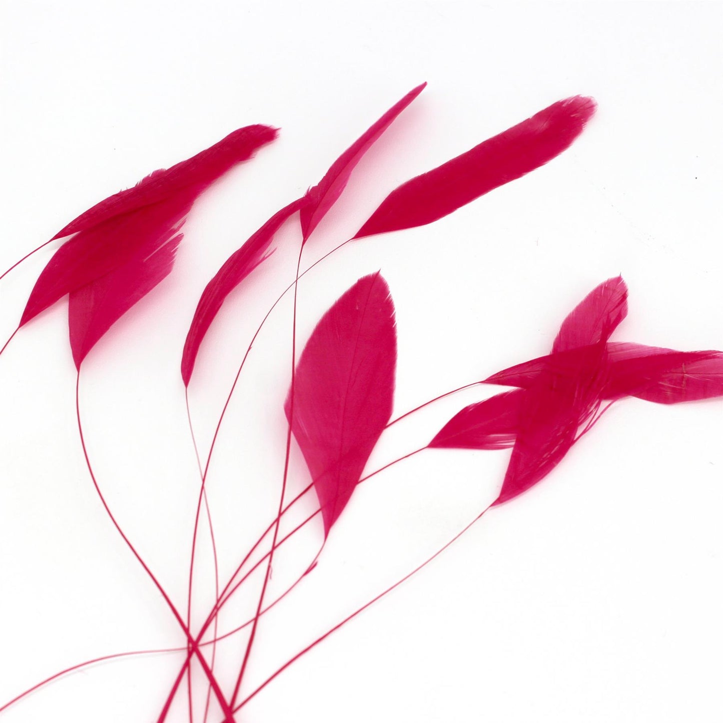 Teardrop Coq Feathers 17 to 25cm x 10pcs - CO017