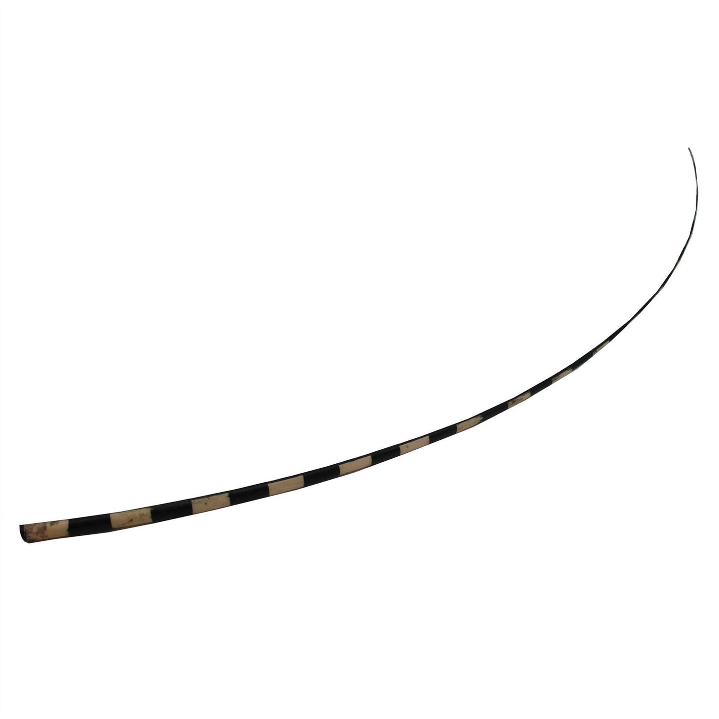 Stripe Ostrich Feather Spines 60cm - FE024