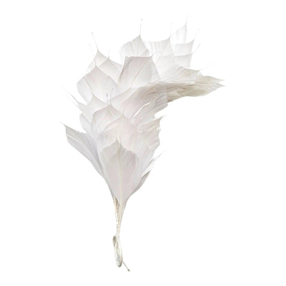 Spiky Goose Mount On Wire 25cm FM045