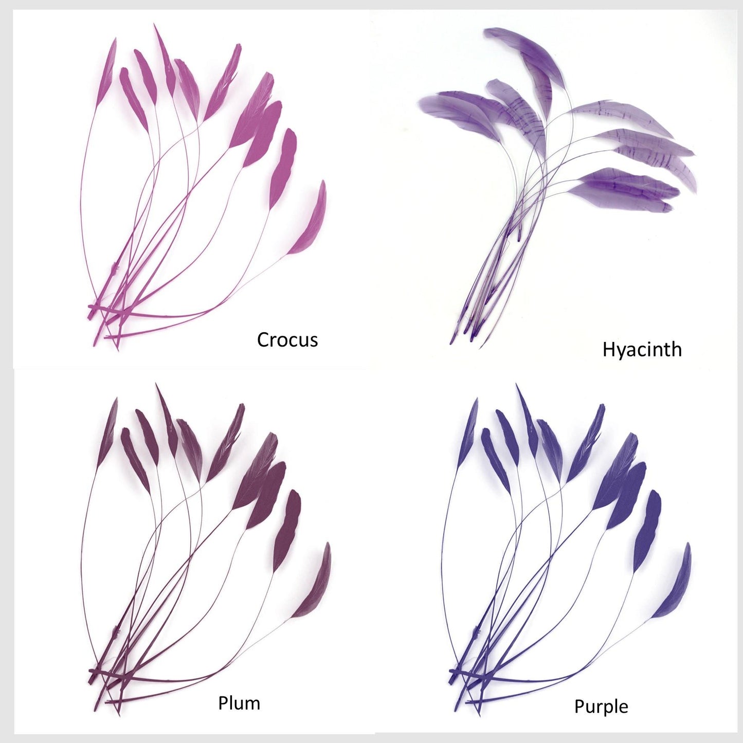 Teardrop Coq Feathers 17 to 25cm x 10pcs - CO017