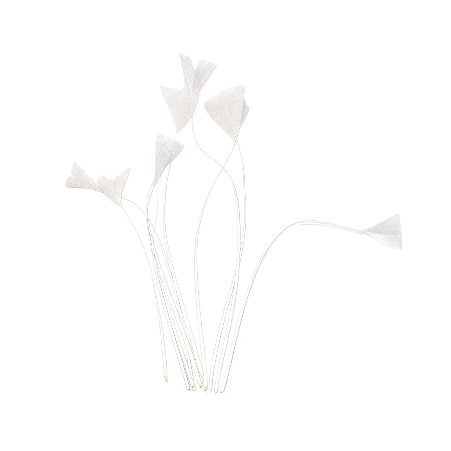 Stripped Turkey Feathers x 10pcs - FE004