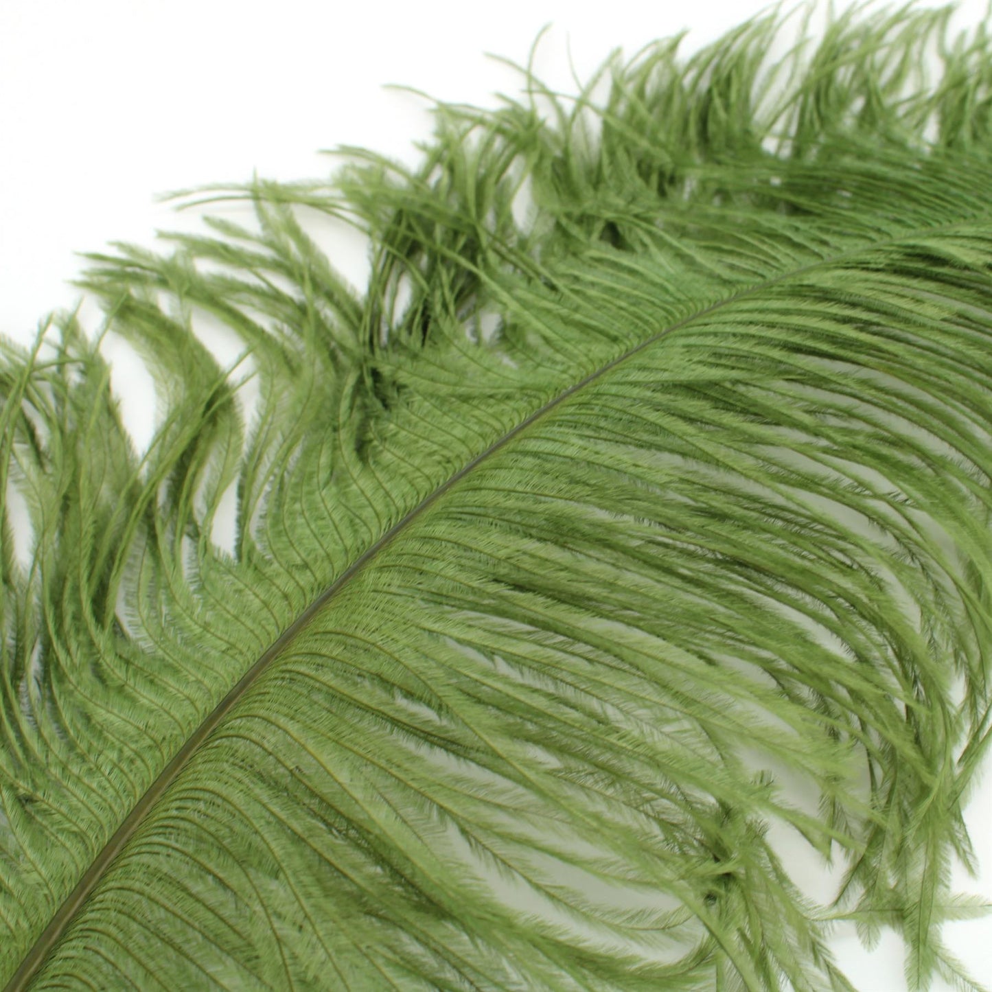 Ostrich Feather Plume 45 to 55cm - FE017