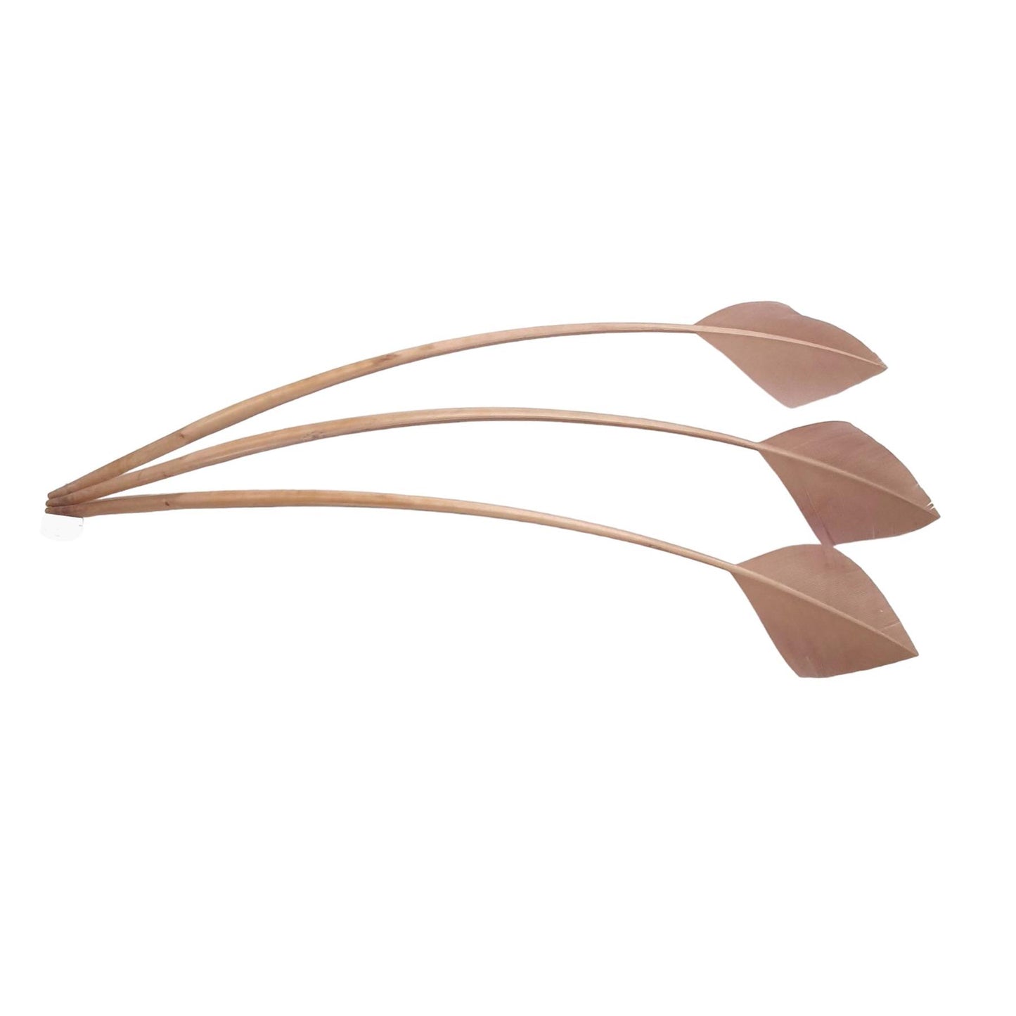 Arrow Head Turkey Feather 30cm x 3pcs - FE014