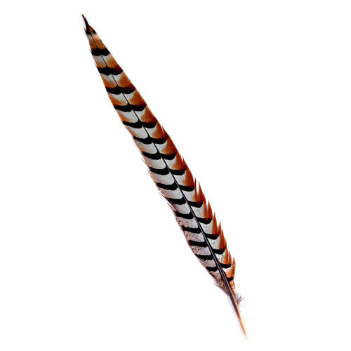 Reeves centre tail pheasant feather for millinery fascinators and wedding hats FE016